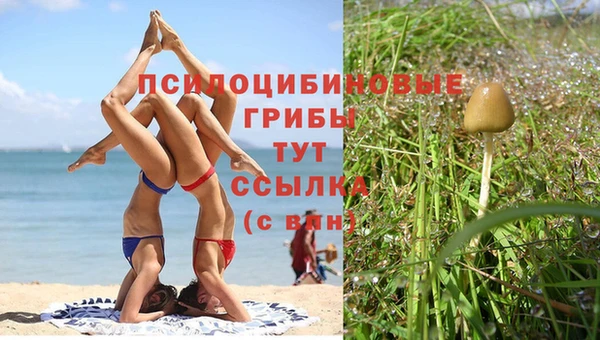 jwh Абаза