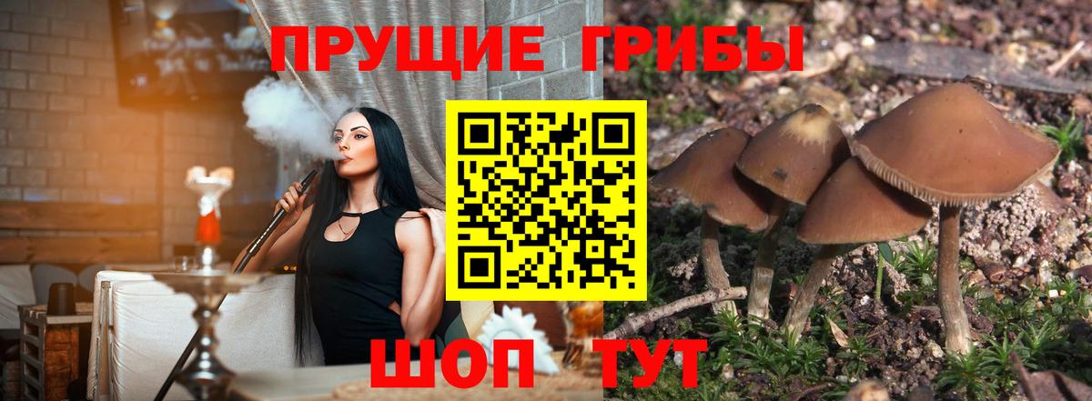 Псилоцибиновые грибы прущие грибы  Вход с VPN  Альметьевск 